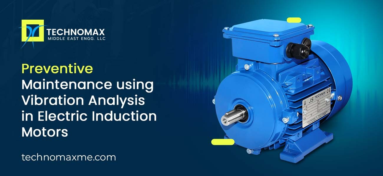 Vibration Analysis in Electric Induction Motors